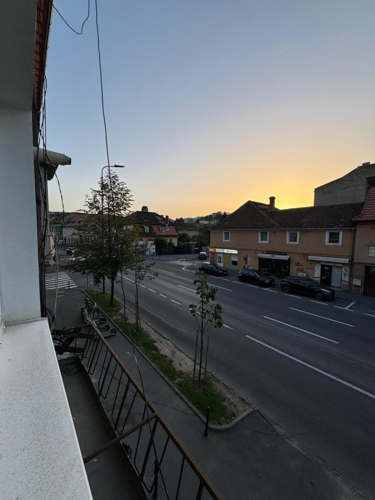 Rodiva